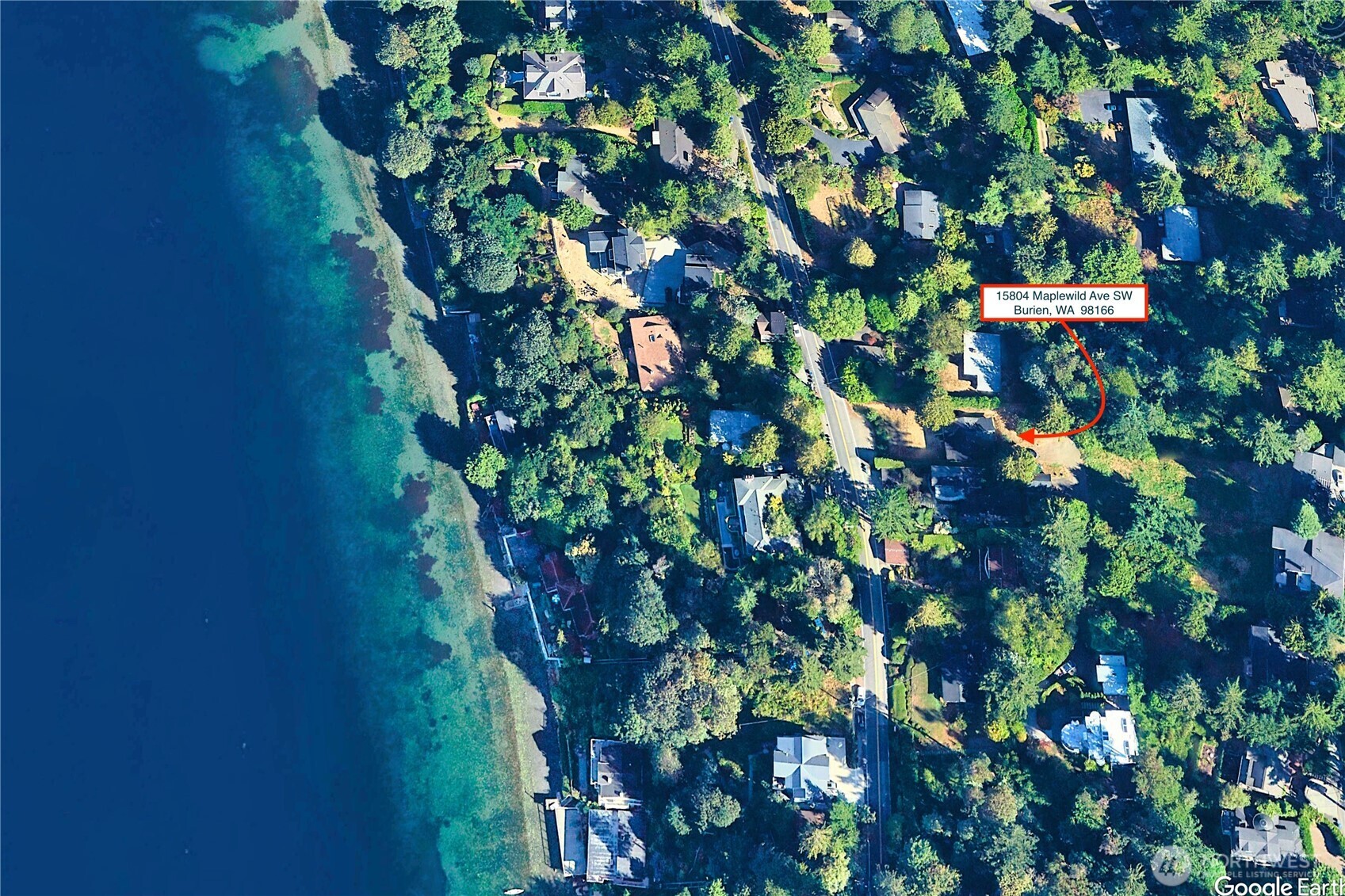 15804 Maplewild Avenue Southwest Burien, WA 98166 - Photo 35 of 37 a plant