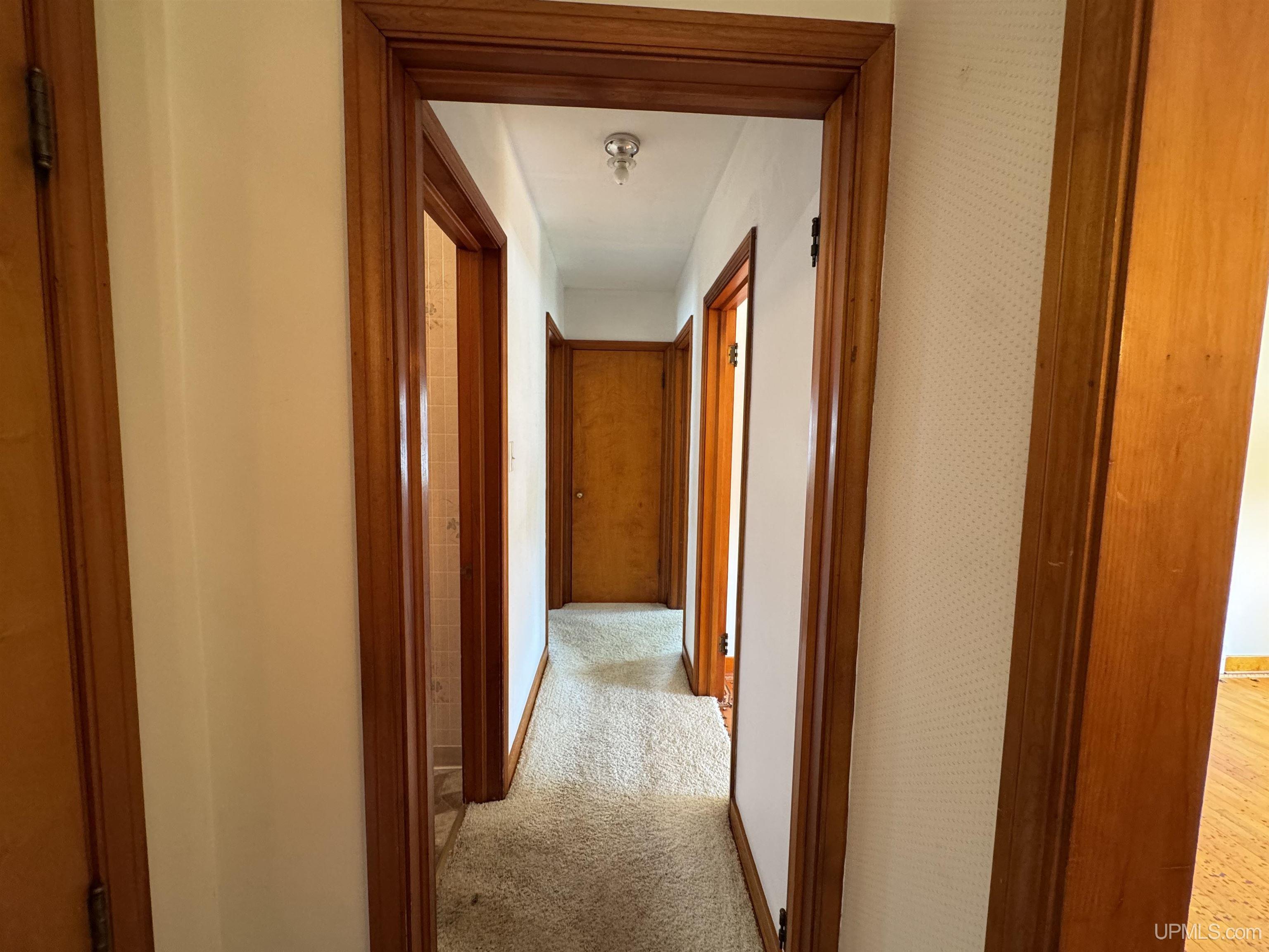 125 Daisy Street Ishpeming, MI 49849 - Photo 17 of 44