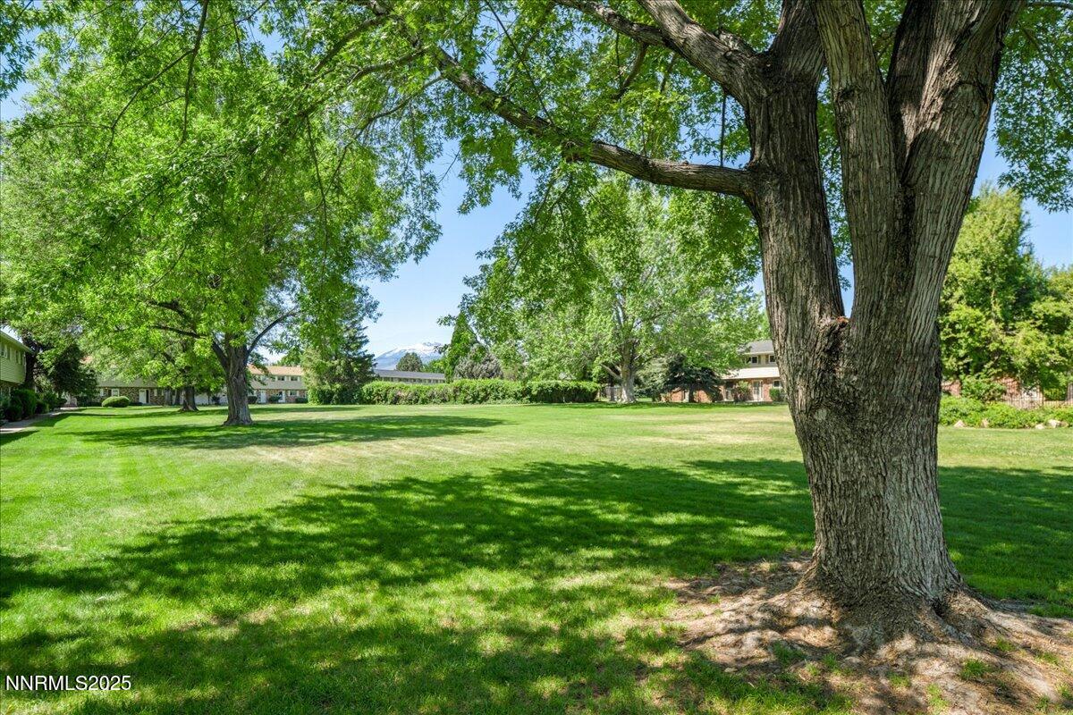 110 Smithridge Park Reno, NV 89502 - Photo 23 of 24 23-DSC_3721