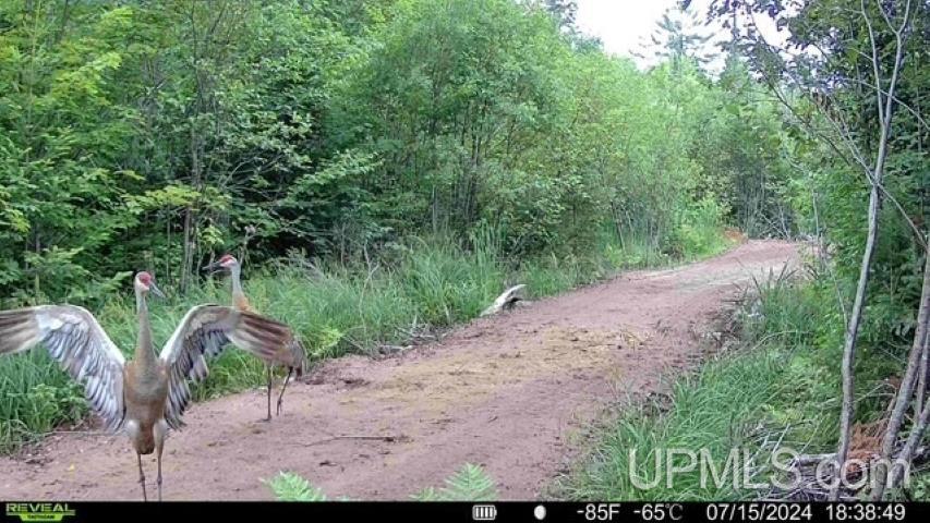 N7228 Rock River Road Deerton, MI 49822 - Photo 35 of 46