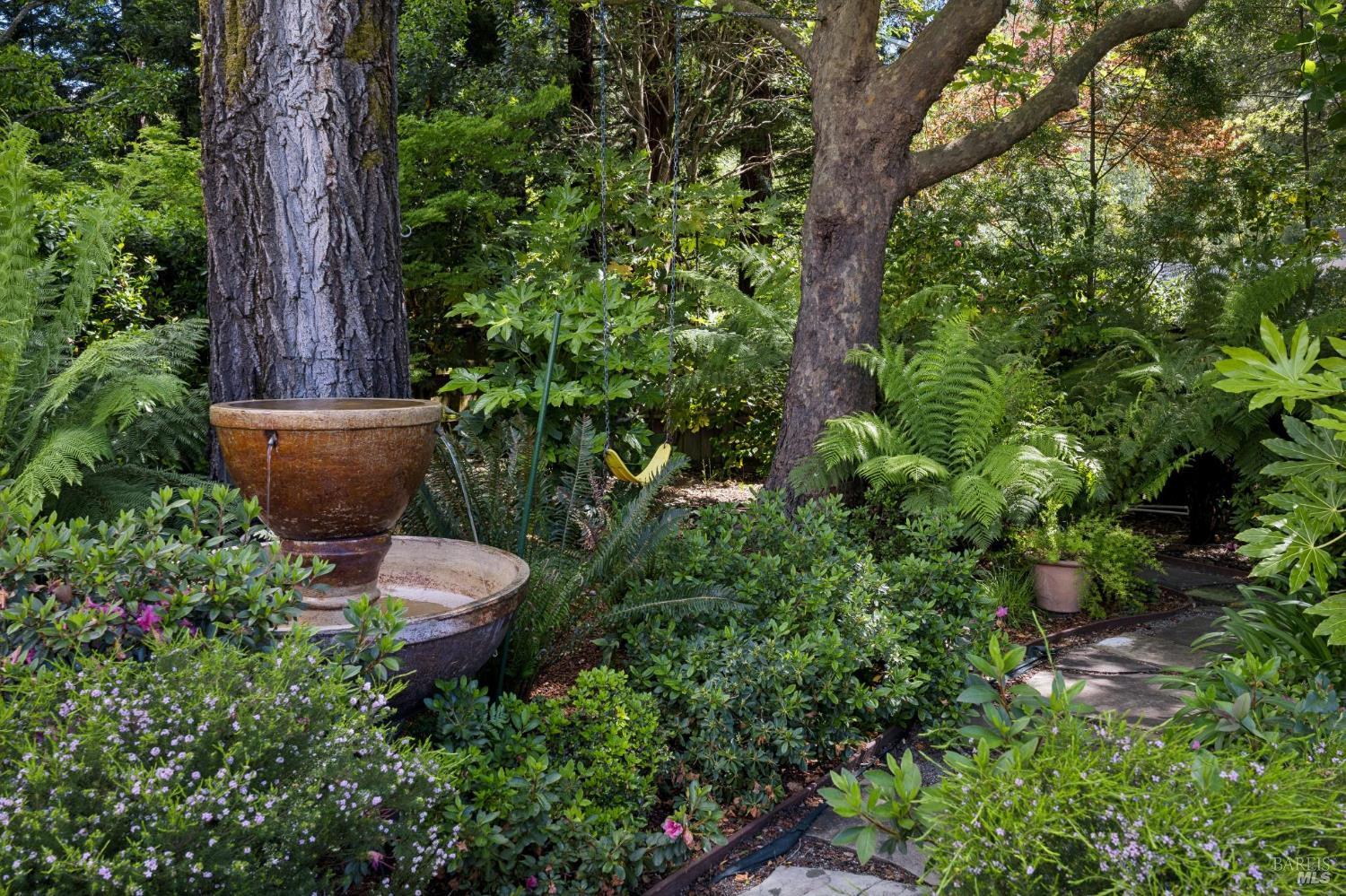 1199 Butterfield Road San Anselmo, CA 94960 - Photo 50 of 65 a view of a backyard with plants and a fountain