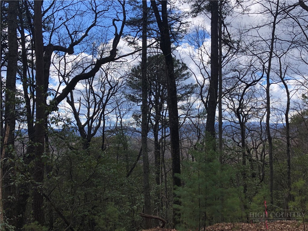 Lot 21 Bobcat Mountain Road Purlear, NC 28665 - Photo 12 of 46 a view of forest