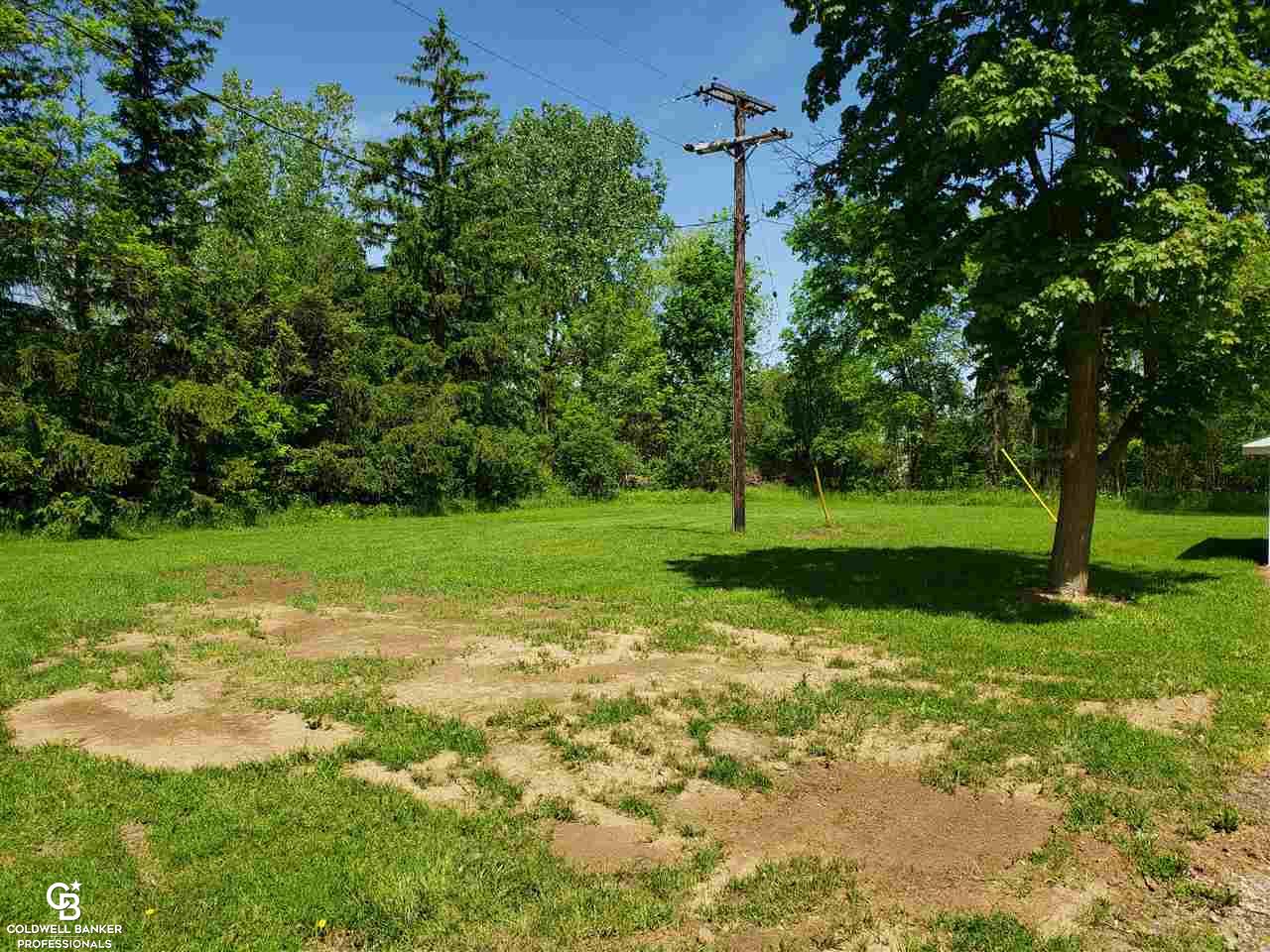 11504 Wilkes Road Yale, MI 48097 - Photo 21 of 22 This is another view of the yard.