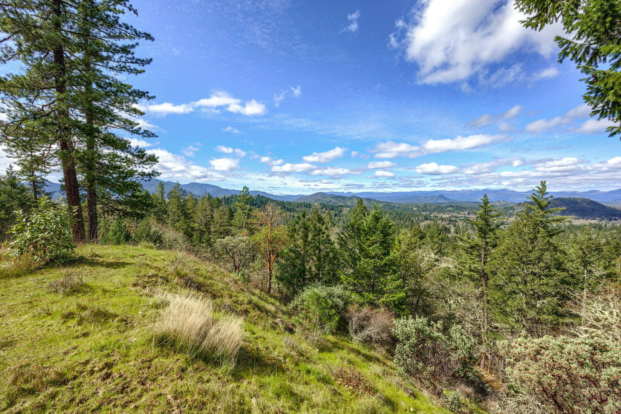 820 South Espey Road Grants Pass, OR 97527 - Photo 20 of 25 20-web-or-mls-ApxSER (20)