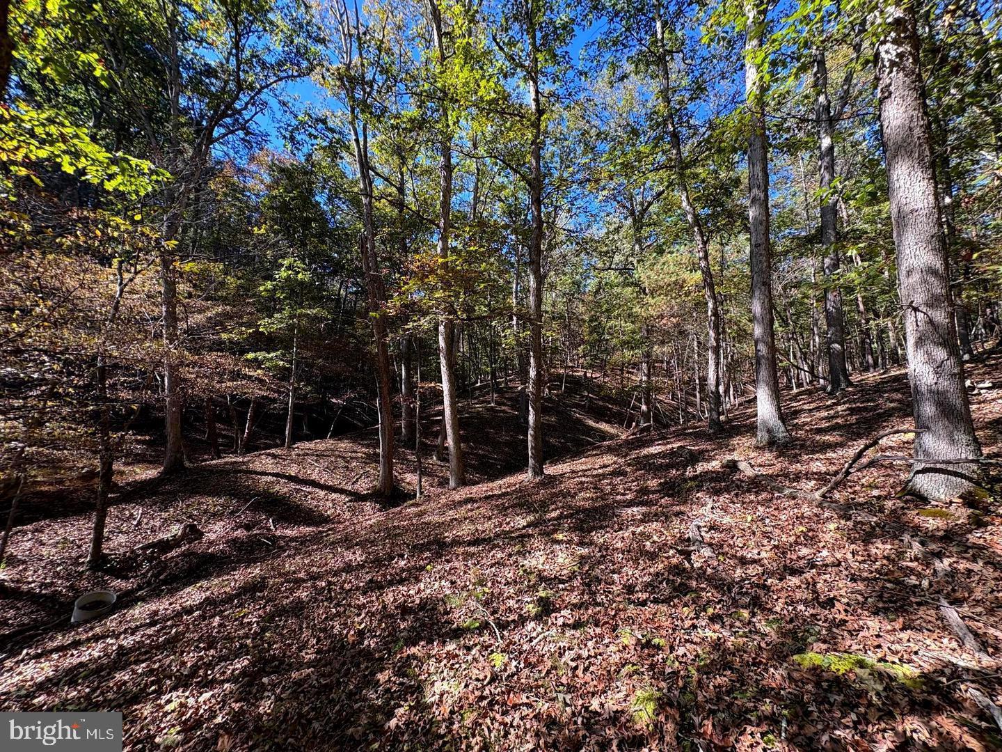 7313 Little Cacapon Road Romney, WV 26757 - Photo 35 of 38