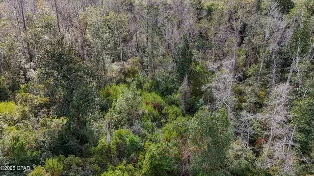 $75,000 | 12299 Nona Wood Road, Fountain, FL 32438