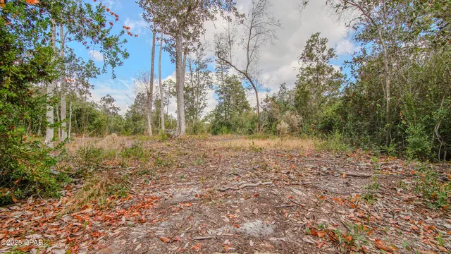 $75,000 | 12299 Nona Wood Road, Fountain, FL 32438