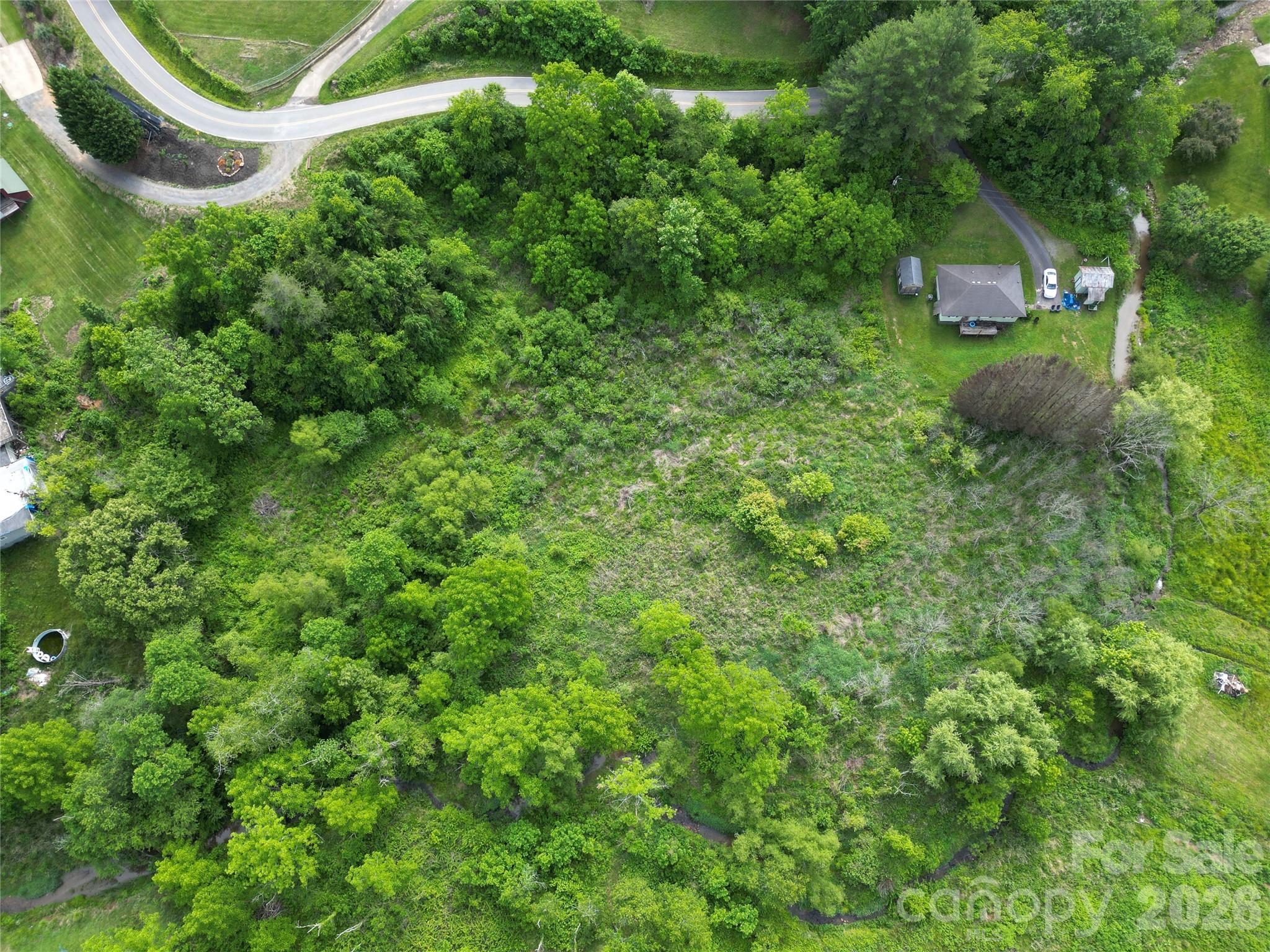 0 Abel Road Canton, NC 28716 - Photo 4 of 9
