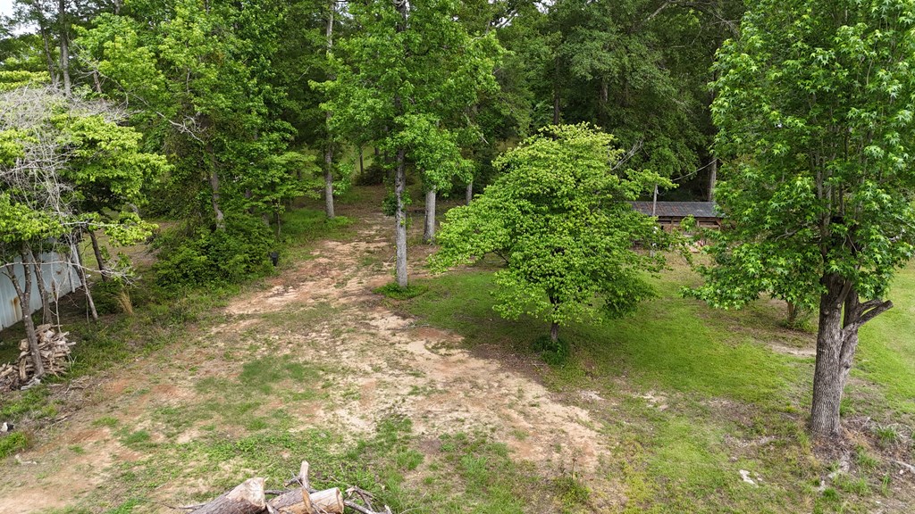 0 Hudspeth Drive Abbeville, AL 36310 - Photo 2 of 15