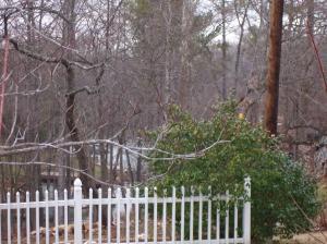 70 Brooks Point Lane Union Hall, VA 24176 - Photo 15 of 21 Winter VIew