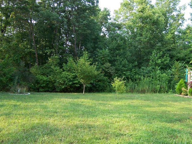 70 Brooks Point Lane Union Hall, VA 24176 - Photo 17 of 21 front yard from driveway