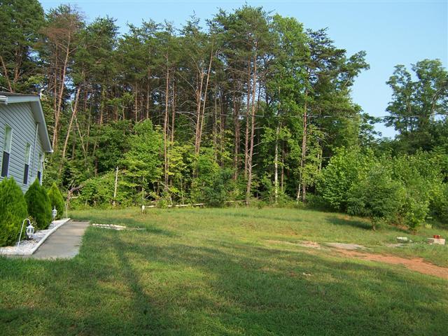 70 Brooks Point Lane Union Hall, VA 24176 - Photo 18 of 21 Back 2