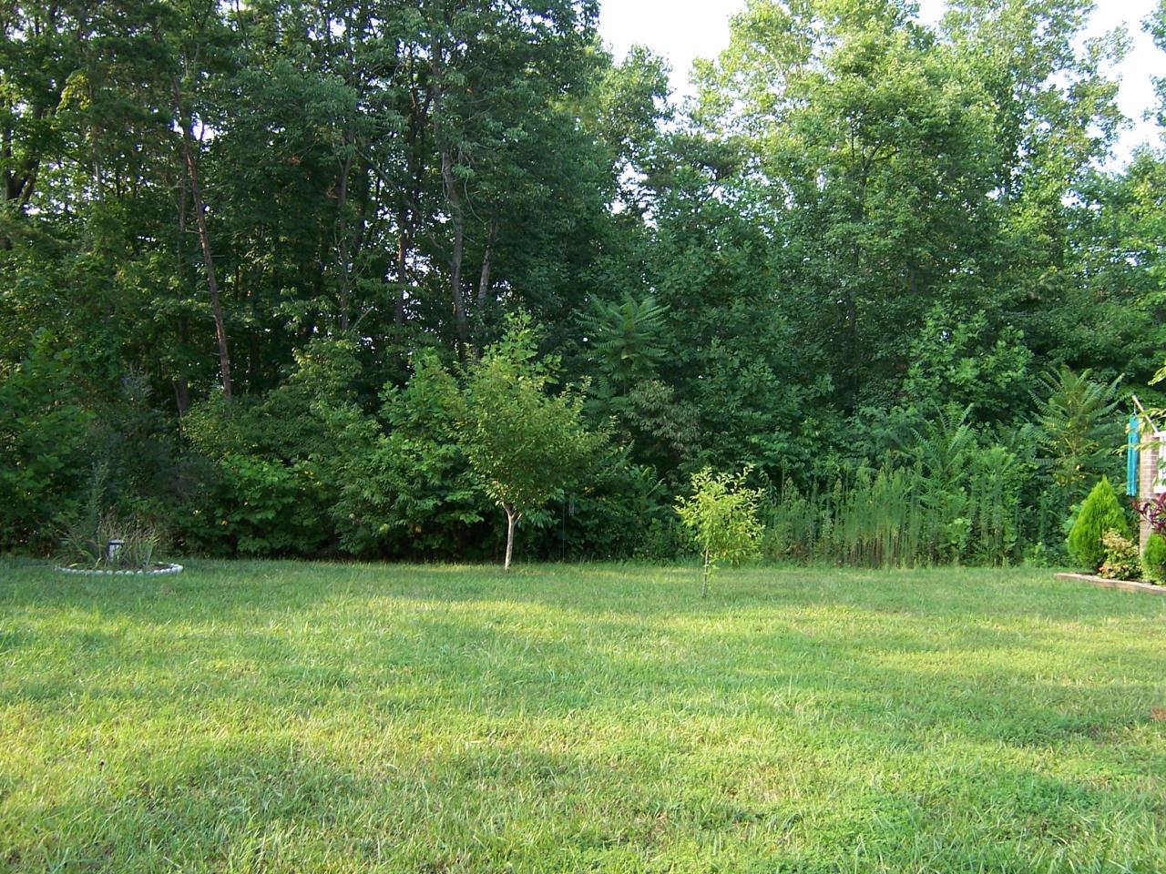 70 Brooks Point Lane Union Hall, VA 24176 - Photo 19 of 21 Yard Views 1