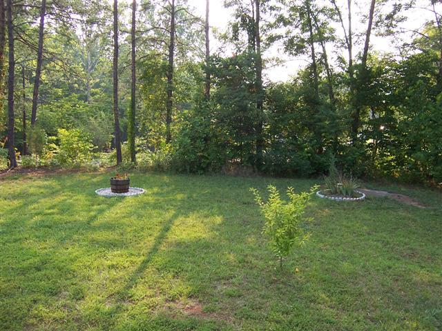 70 Brooks Point Lane Union Hall, VA 24176 - Photo 20 of 21 yard views 2