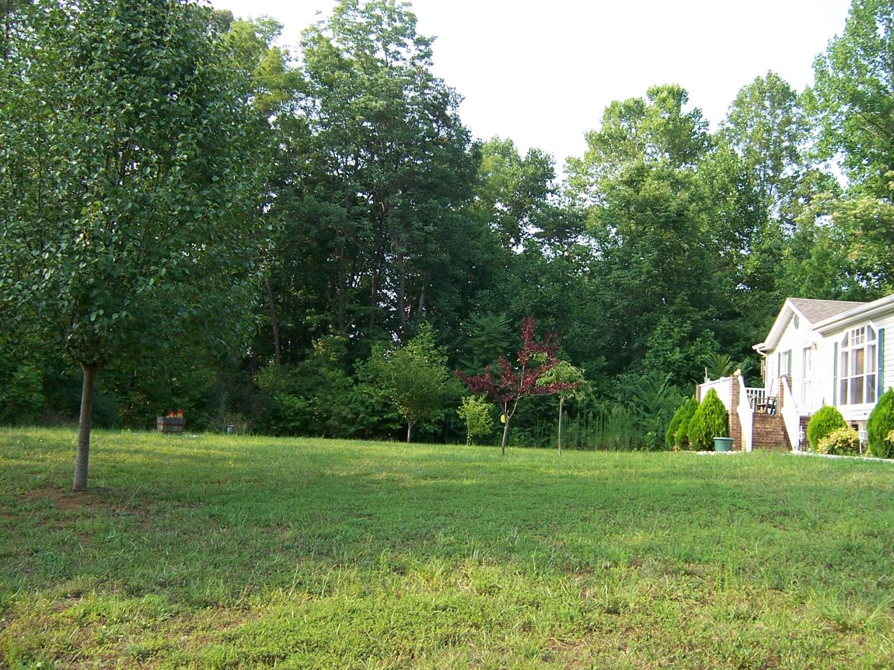 70 Brooks Point Lane Union Hall, VA 24176 - Photo 21 of 21 yard views 3