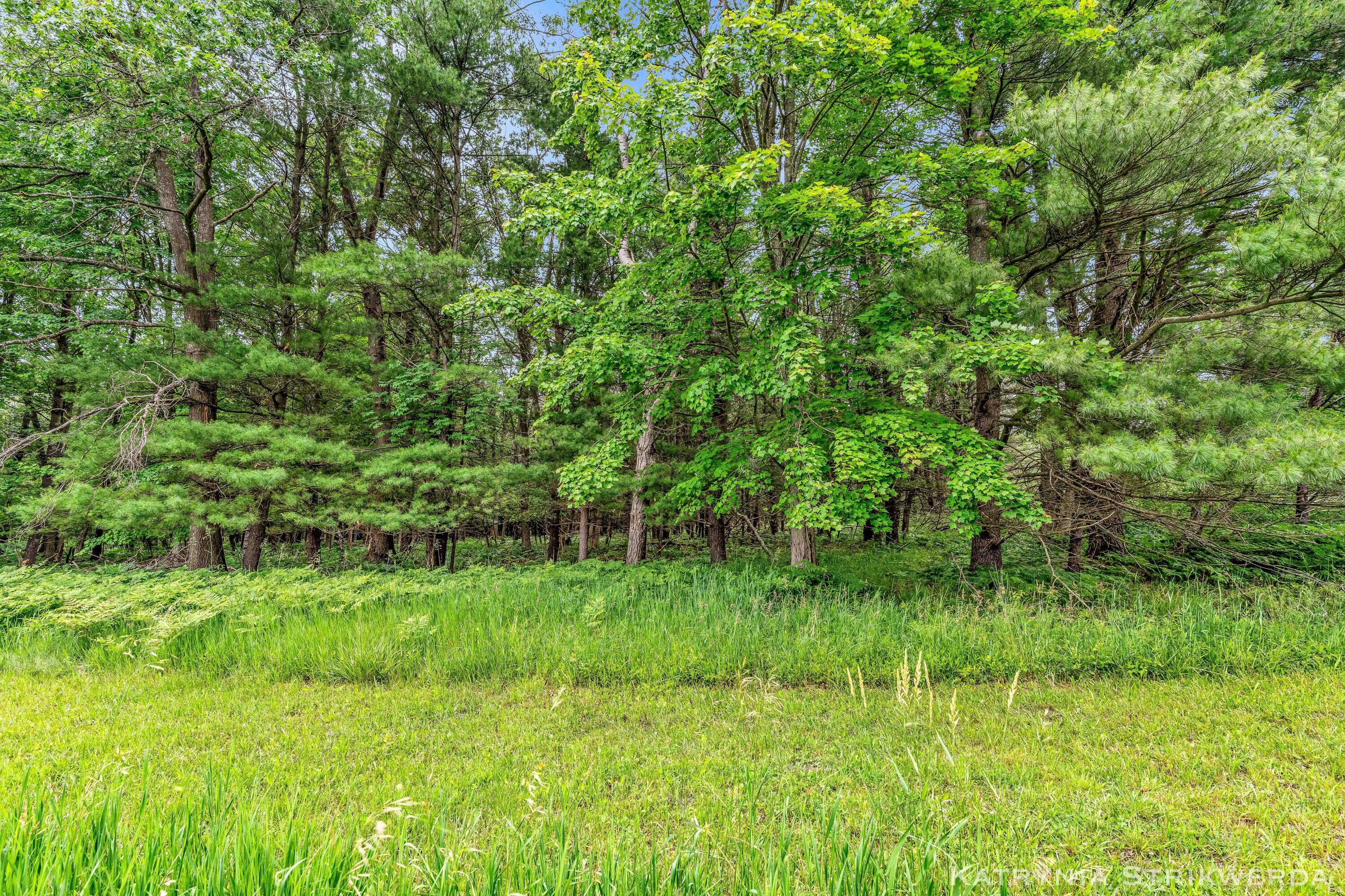V/l East Kinney Road Branch, MI 49402 - Photo 24 of 41 _DSC9599