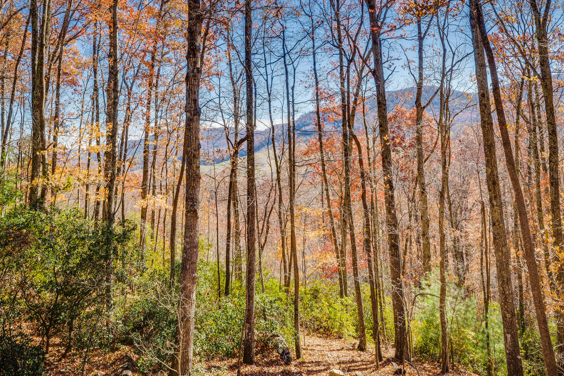 2064 South Fork Road Marion, VA 24354 - Photo 40 of 96 041