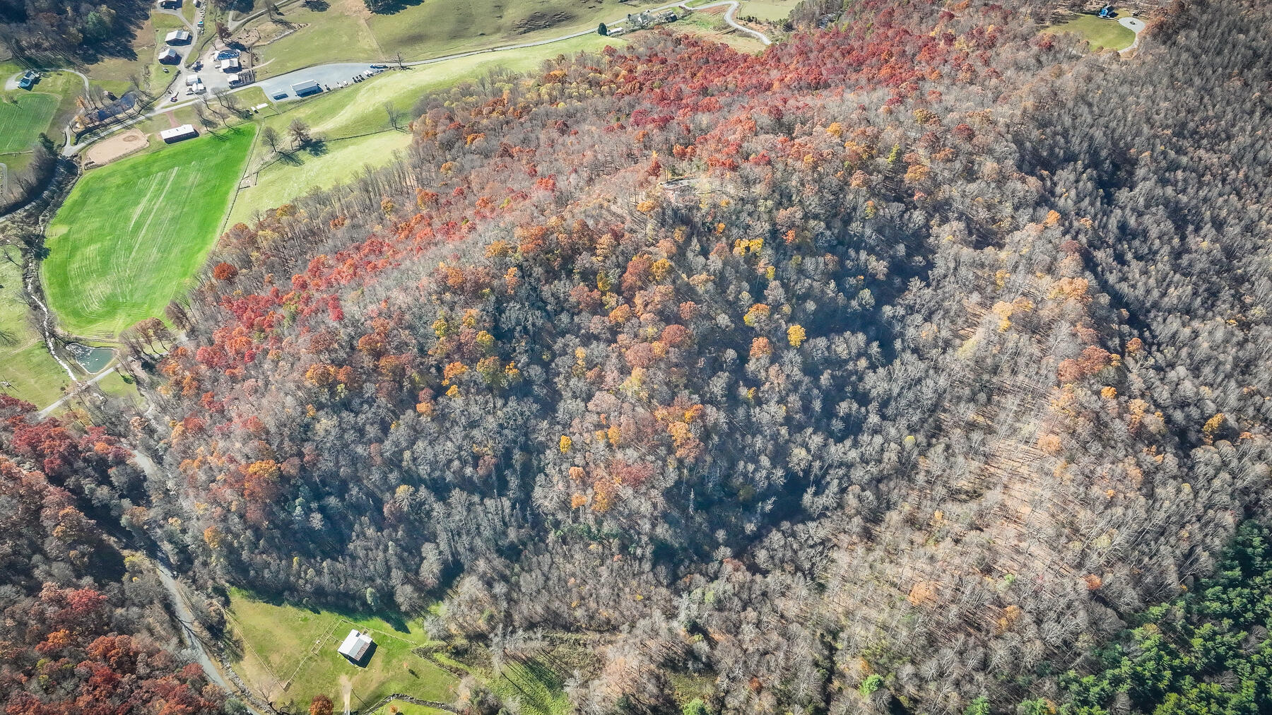 2064 South Fork Road Marion, VA 24354 - Photo 78 of 96 122