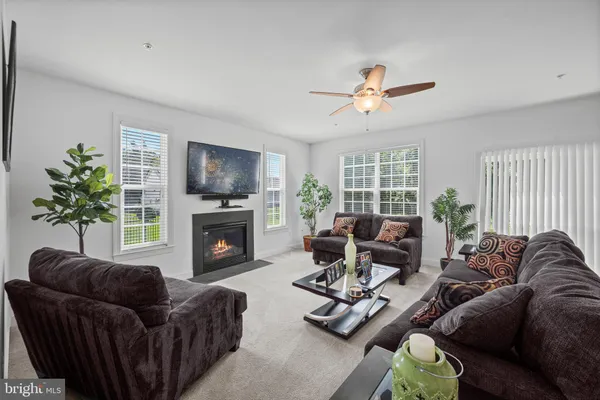 a living room with furniture a fireplace with potted plants