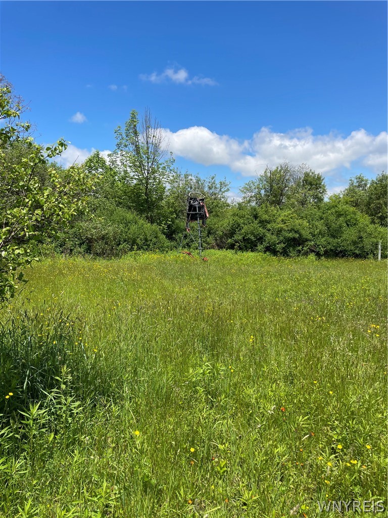 Lost Nations Road Freedom, NY 14065 - Photo 8 of 13