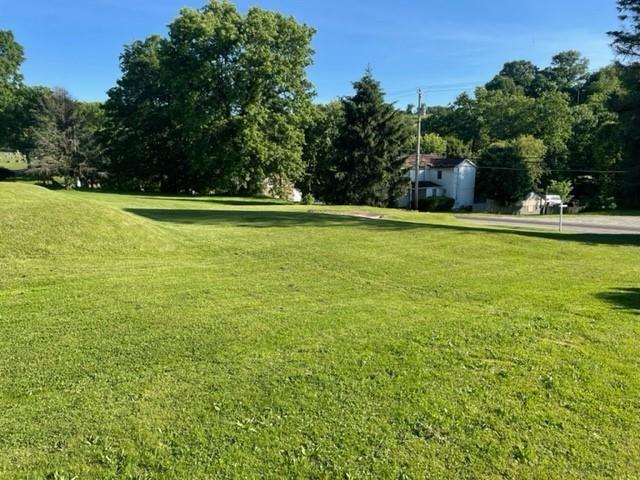 4120 New Texas Road Pittsburgh, PA 15239 - Photo 3 of 4 a view of a green field
