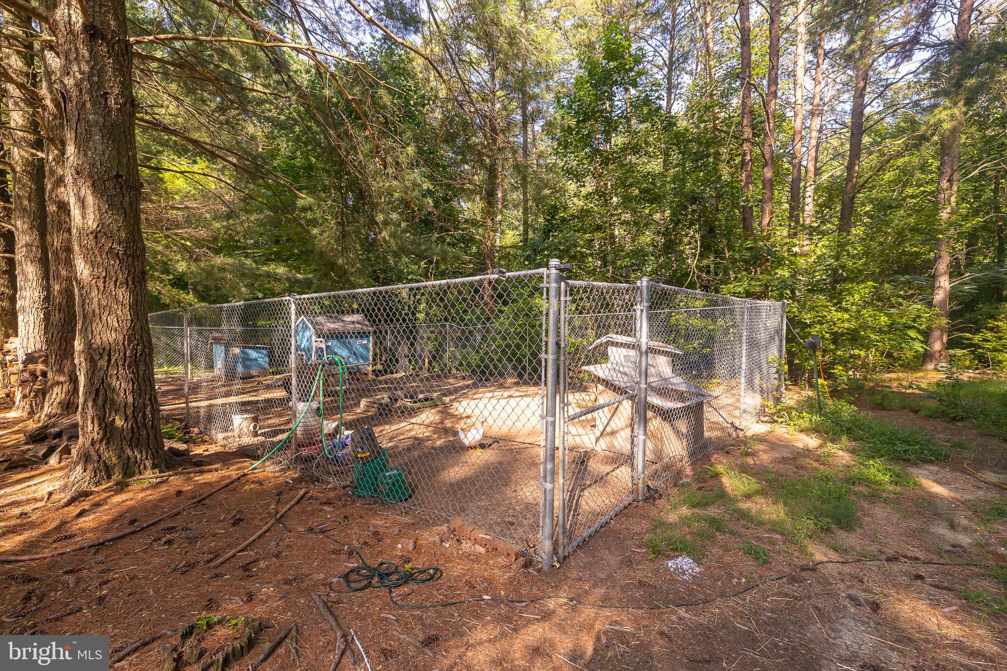 25 Sandy Ridge Court Fredericksburg, VA 22405 - Photo 5 of 36 Current chicken/duck coop in place
