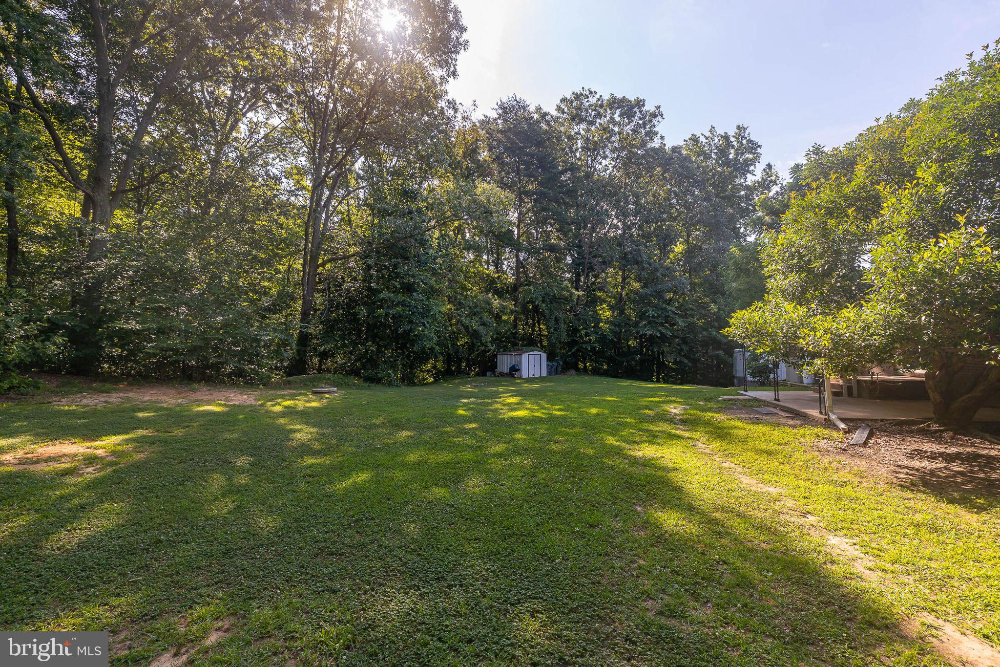 25 Sandy Ridge Court Fredericksburg, VA 22405 - Photo 7 of 36 Picturesque yard /land and additional shed