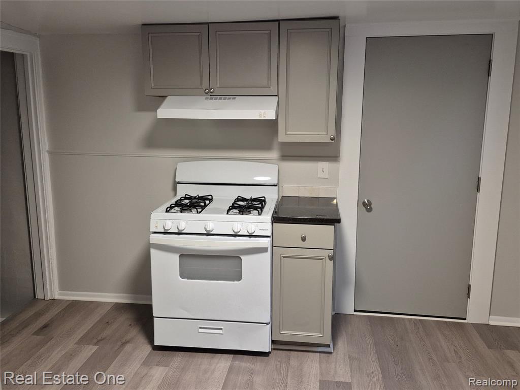 53 Elizabeth Street River Rouge, MI 48218 - Photo 6 of 30 Gallery Image 6