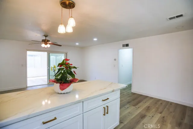 a kitchen with a potted plant on the counter