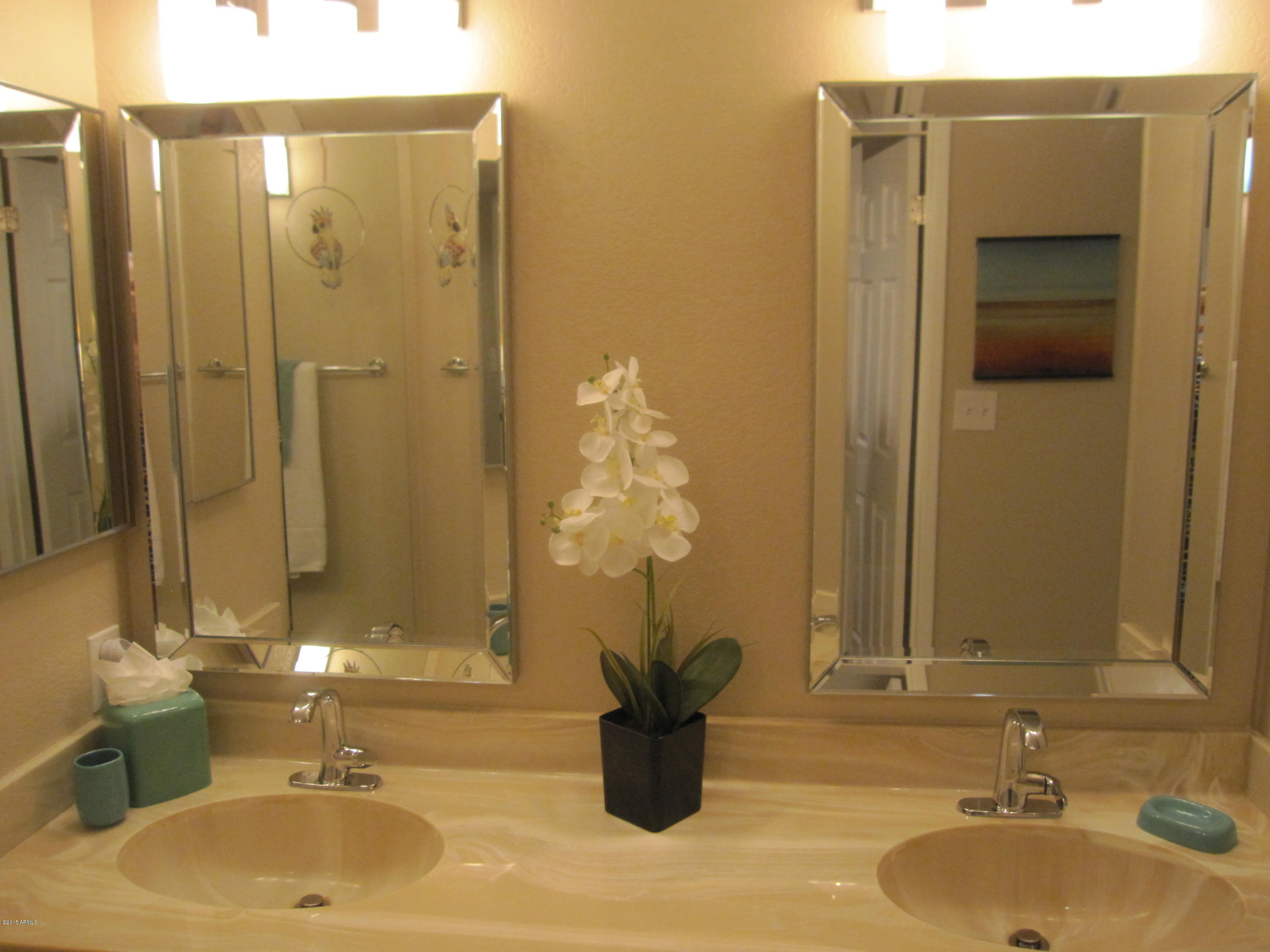12212 North Paradise Village Parkway West, Unit 412C Phoenix, AZ 85032 - Photo 11 of 19 Bathroom
