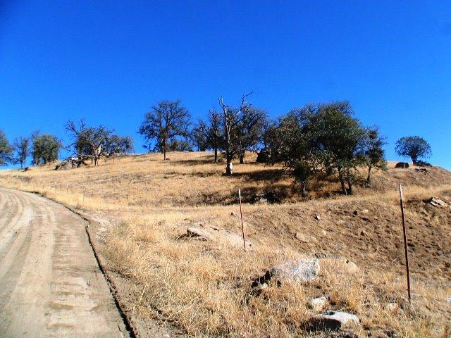 21040 Jury Ranch Drive Tehachapi, CA 93561 - Photo 18 of 23 Gallery Image 18