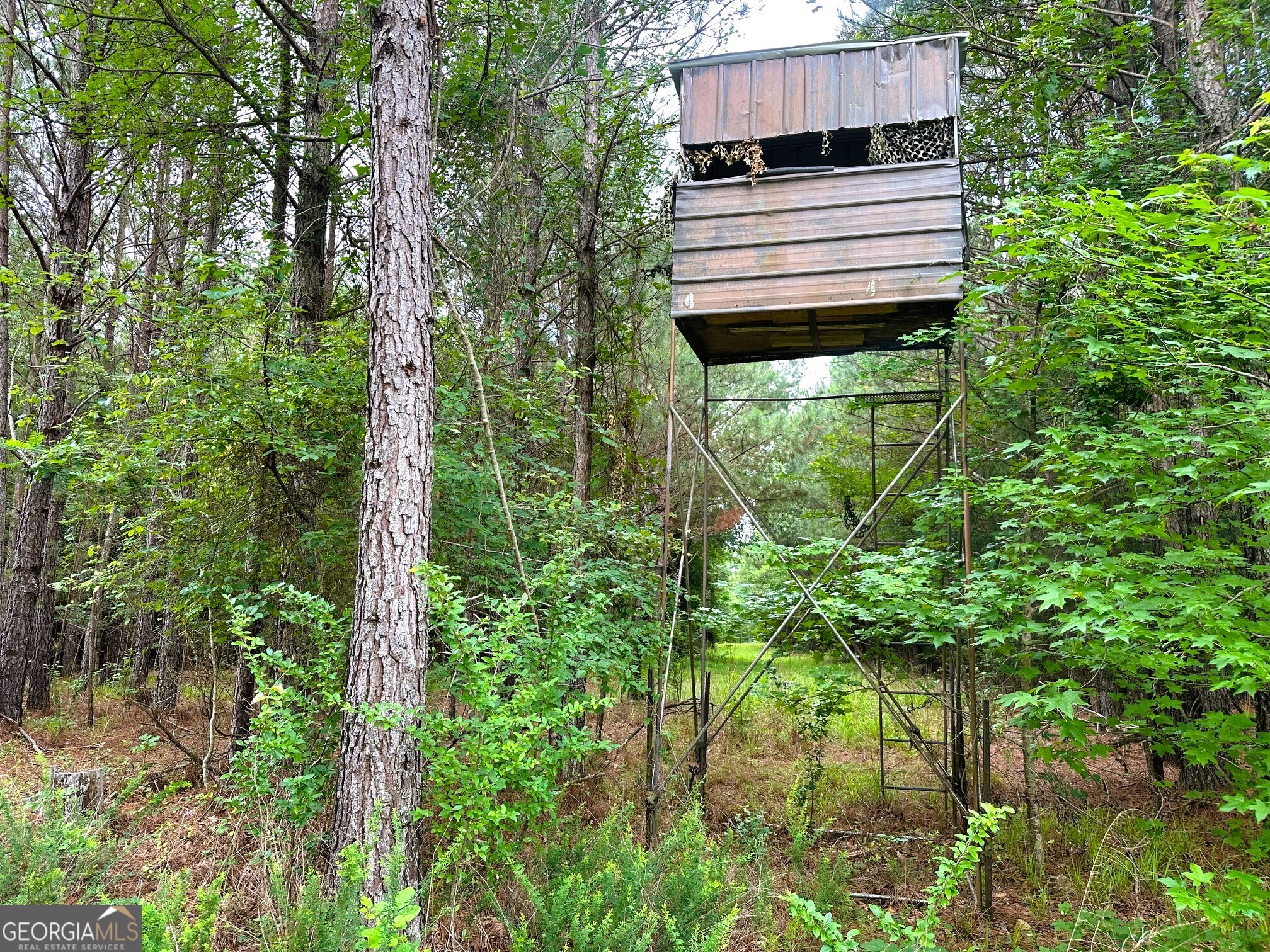 3330 Callaway Road Greensboro, GA 30642 - Photo 71 of 83