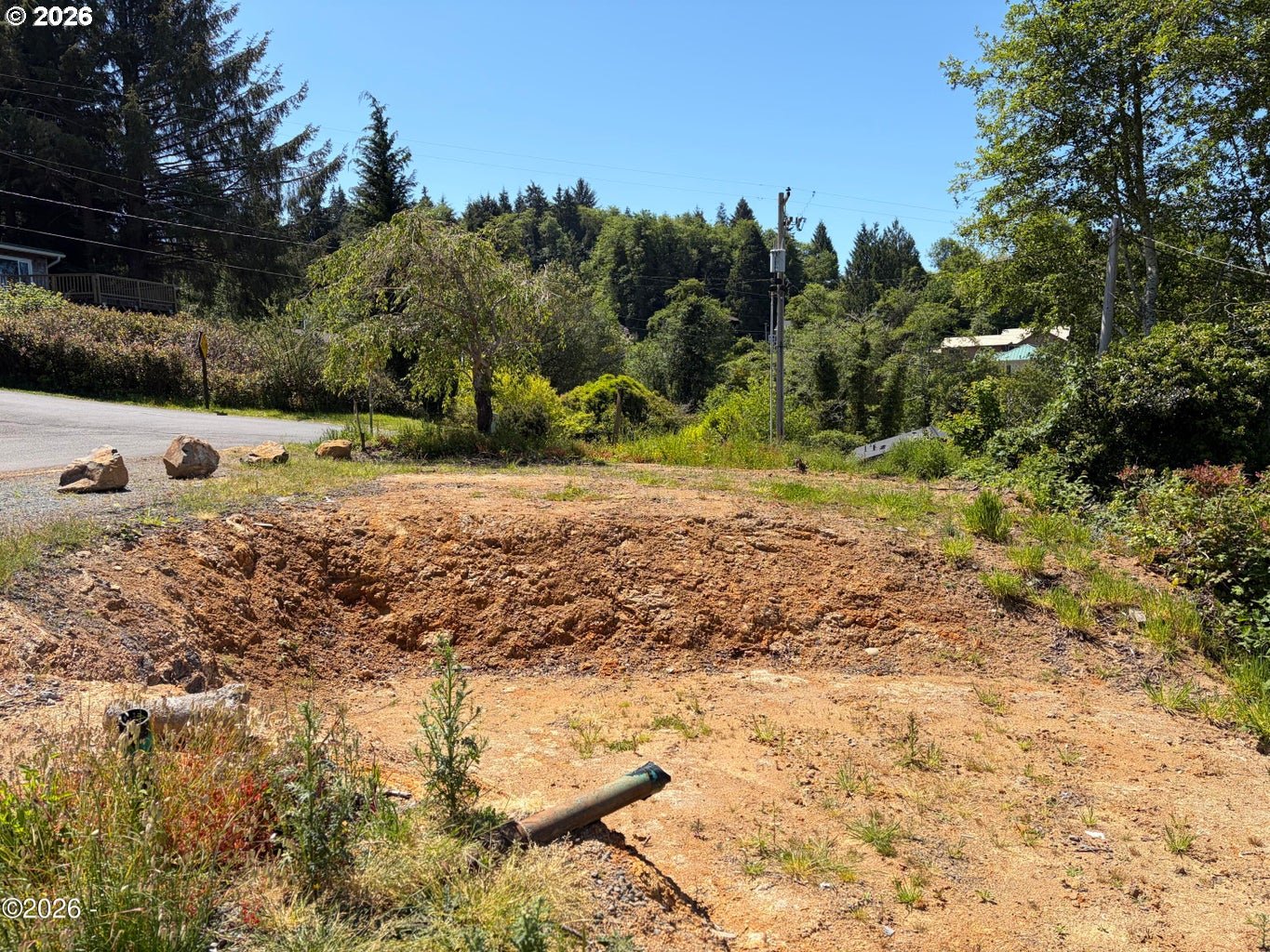 95 Gregory Street Wheeler, OR 97147 - Photo 12 of 20 a view of dirt yard with a large tree
