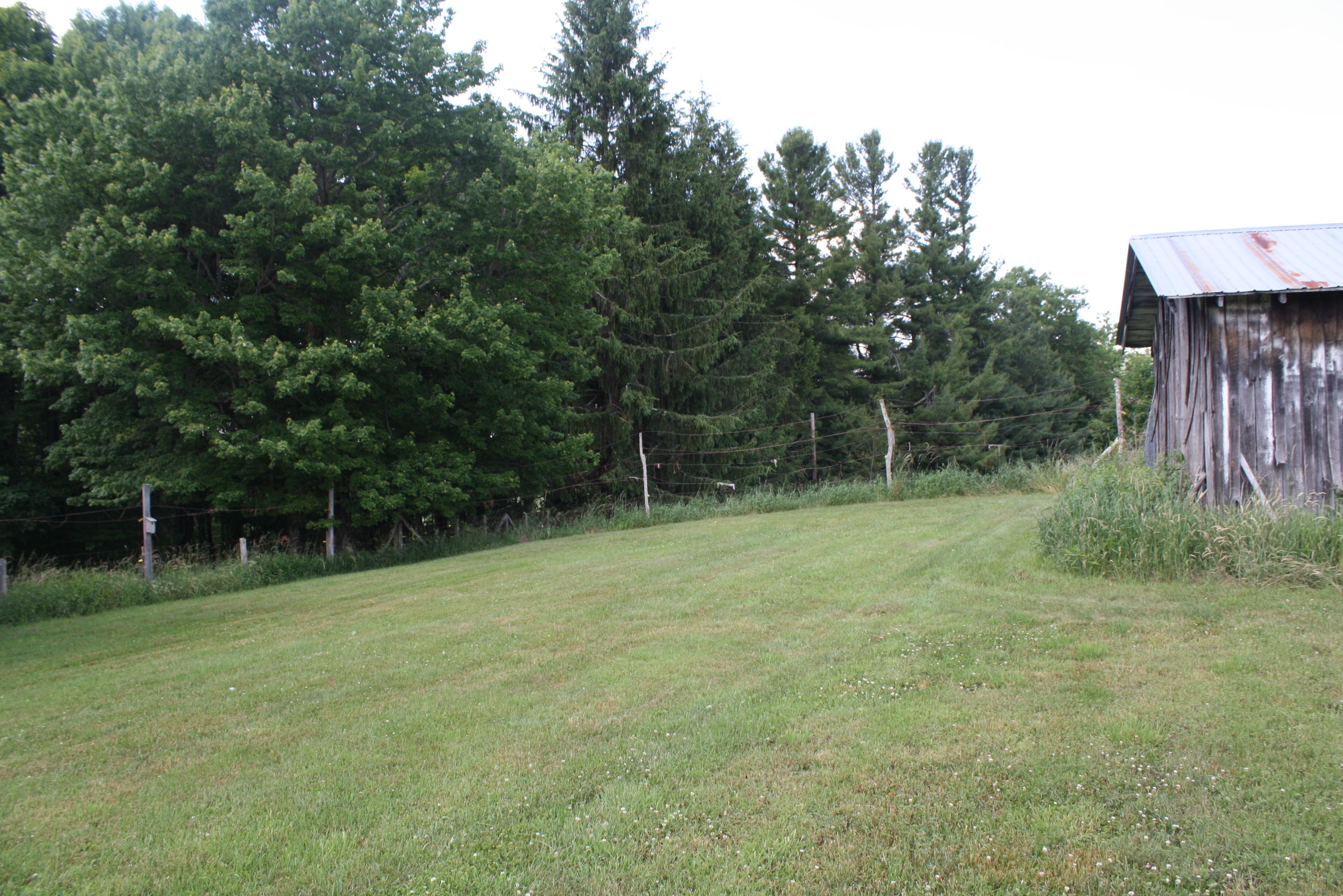 3378 Simms Mountain Road Rainelle, WV 25962 - Photo 76 of 82 Gallery Image 76