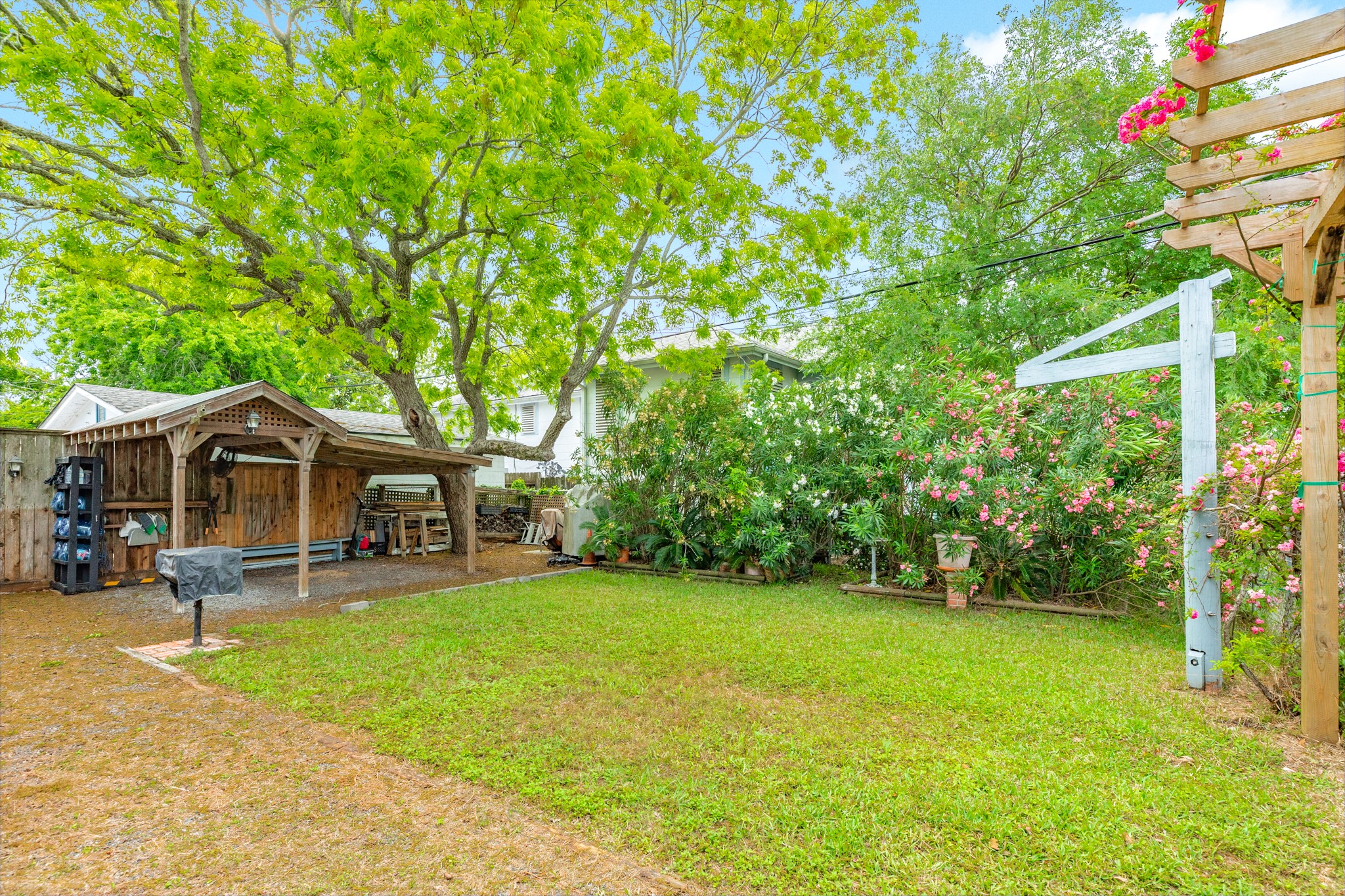 3727 Avenue R Galveston, TX 77550 - Photo 9 of 48 The home is located on a spacious lot with space for a pool and is surrounded by mature oleanders and lush climbing peggy martin roses.