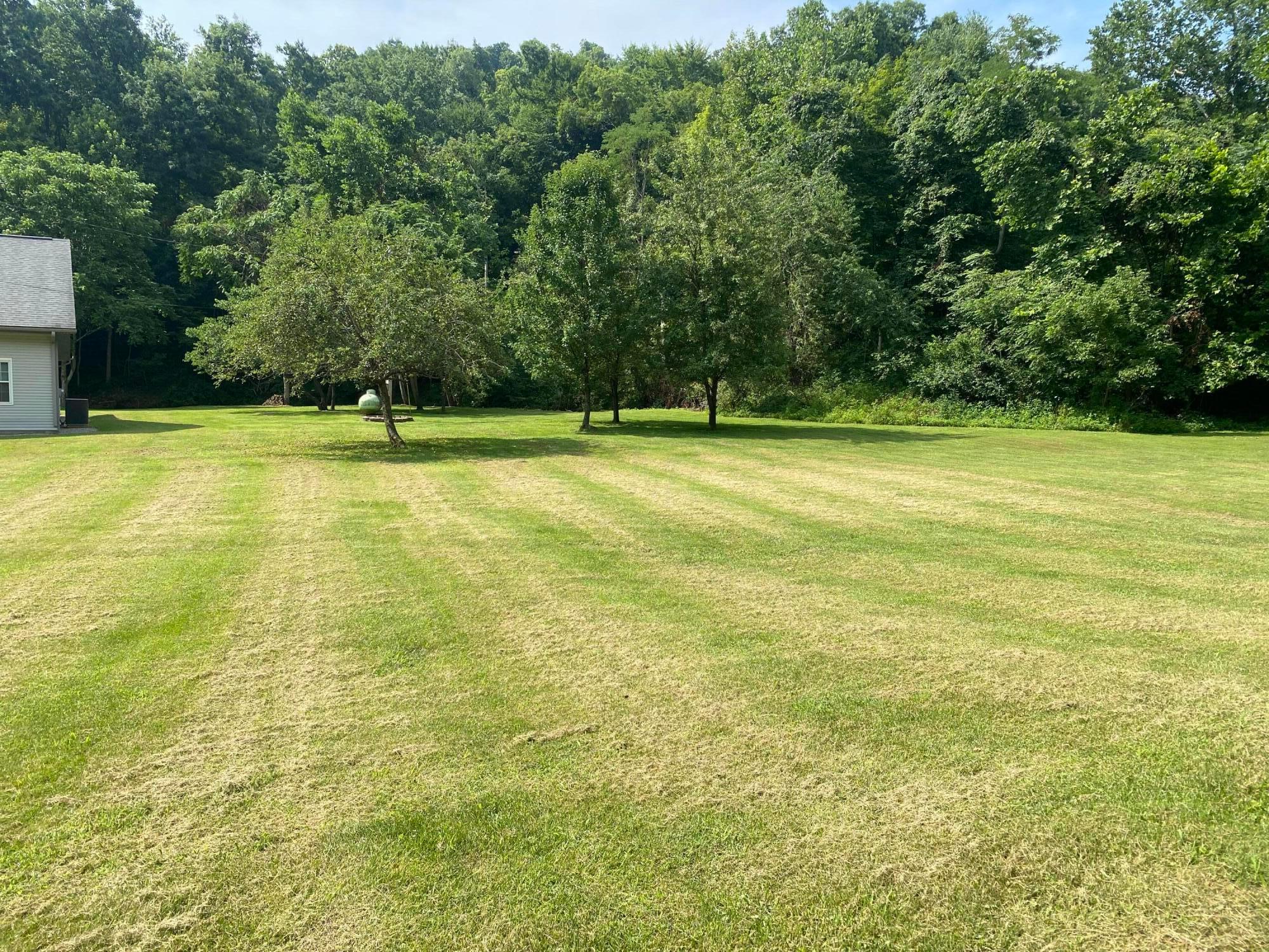 600 Mossbarger Detty Road Piketon, OH 45661 - Photo 10 of 82 DAE43934-4A95-47B9-B64E-99DE2BBDCCCB