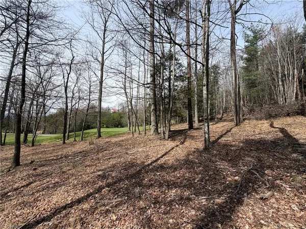 $7,500 | Lot 28 Greenstreet Drive, Traphill, NC 28685