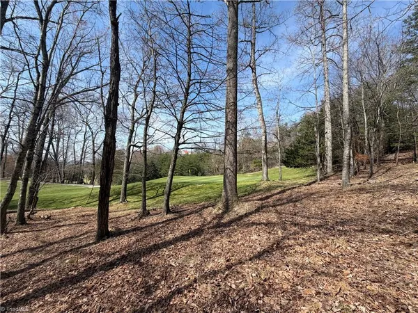 $7,500 | Lot 28 Greenstreet Drive, Traphill, NC 28685