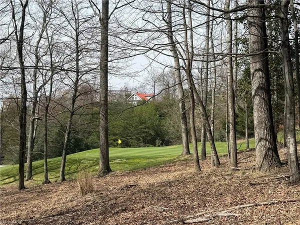 $7,500 | Lot 28 Greenstreet Drive, Traphill, NC 28685