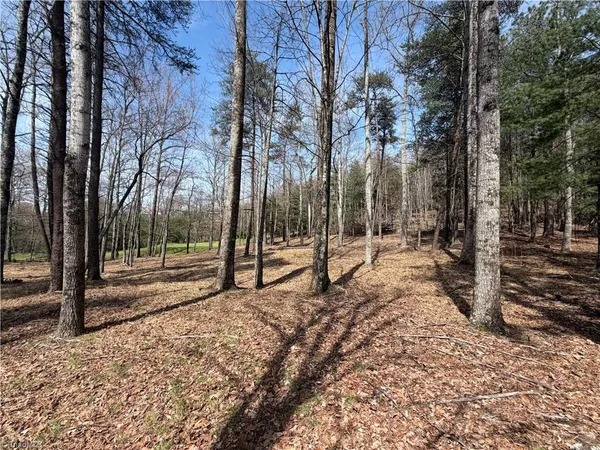 $7,500 | Lot 28 Greenstreet Drive, Traphill, NC 28685