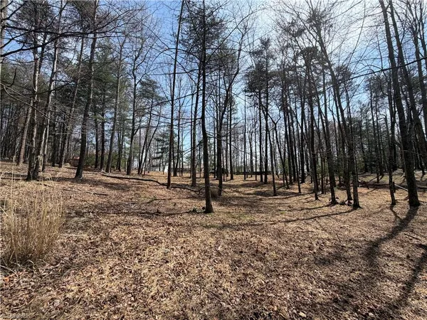 $7,500 | Lot 28 Greenstreet Drive, Traphill, NC 28685