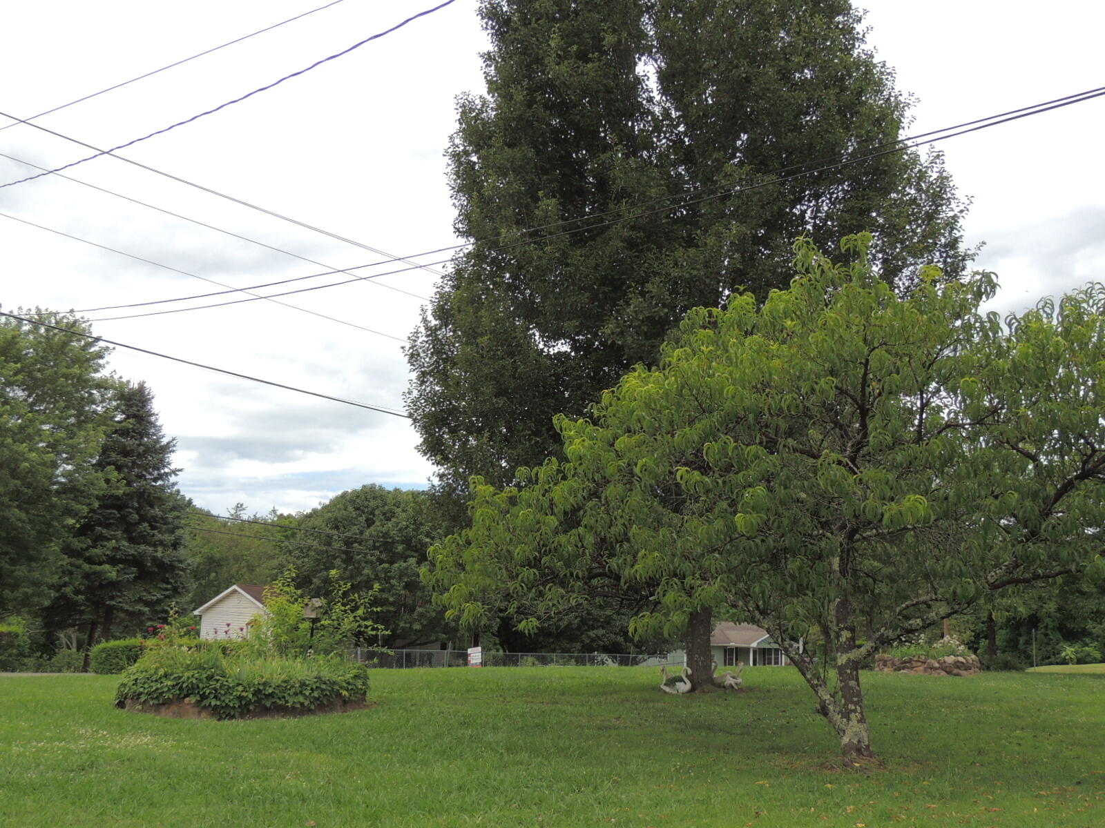 3423 Buckingham Road Greeneville, TN 37745 - Photo 33 of 35 33