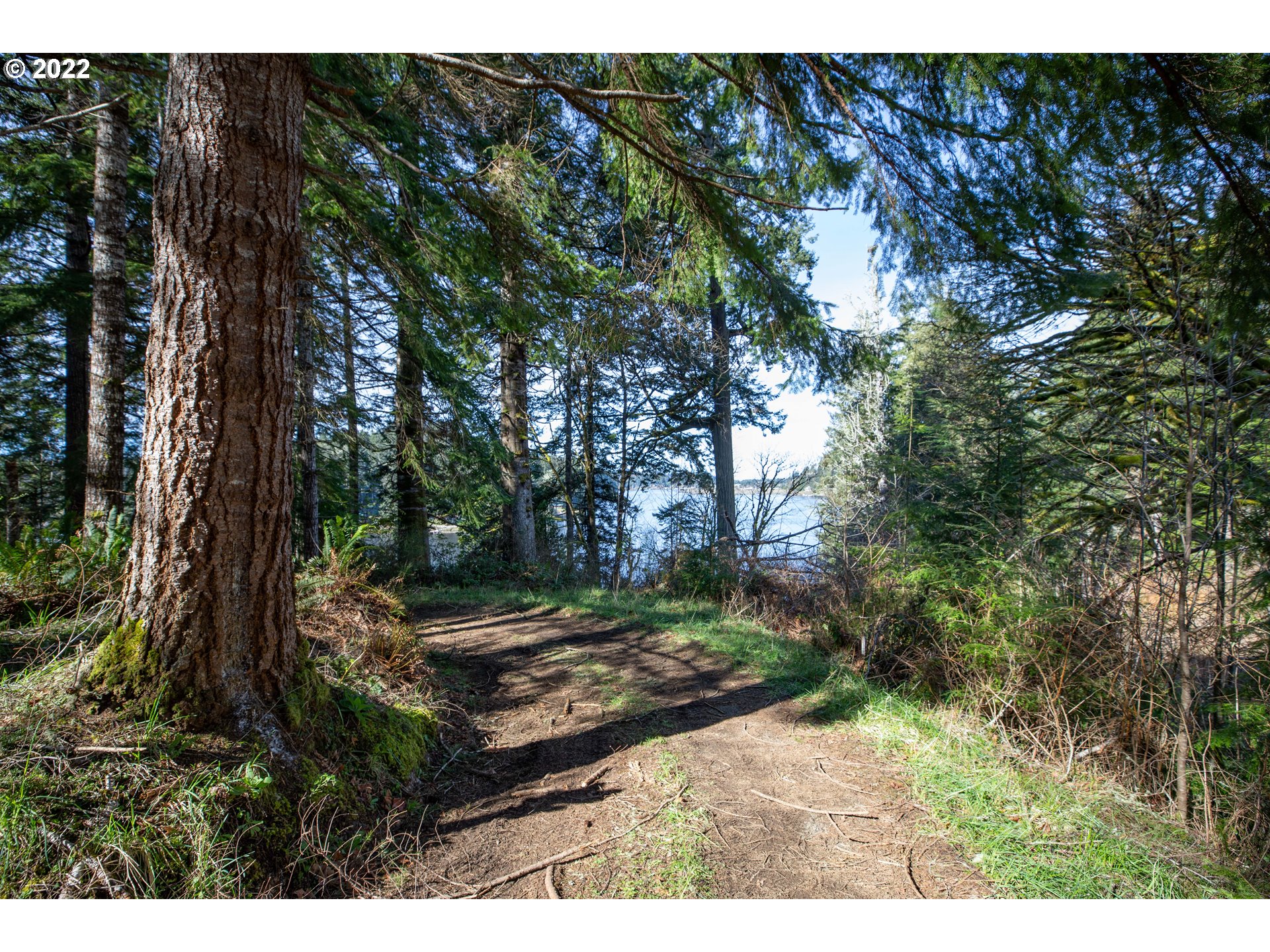 1 Sunny Cove Road, Unit 1301 Lakeside, OR 97449 - Photo 20 of 23 Gallery Image 20