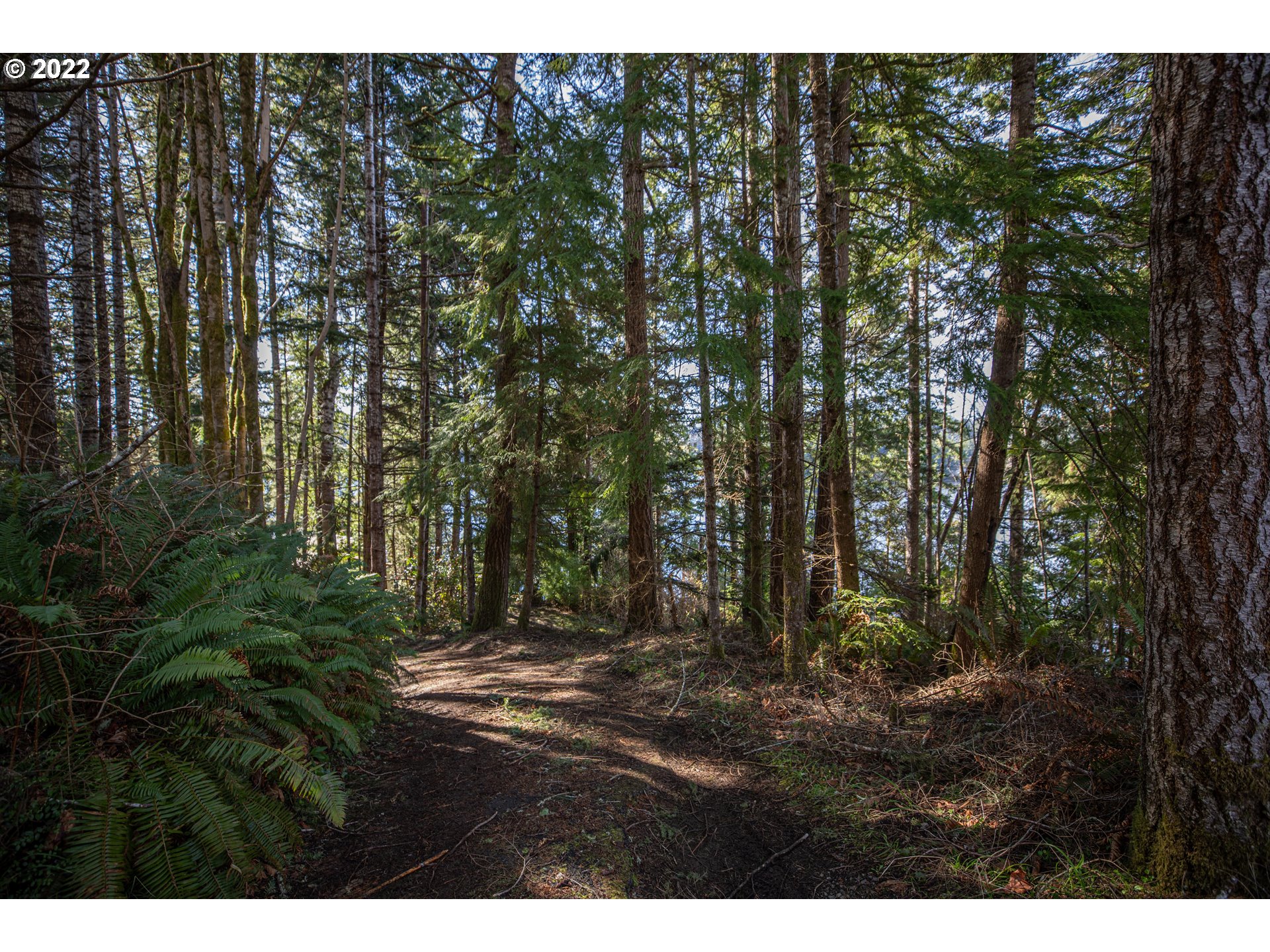 1 Sunny Cove Road, Unit 1301 Lakeside, OR 97449 - Photo 21 of 23 Gallery Image 21