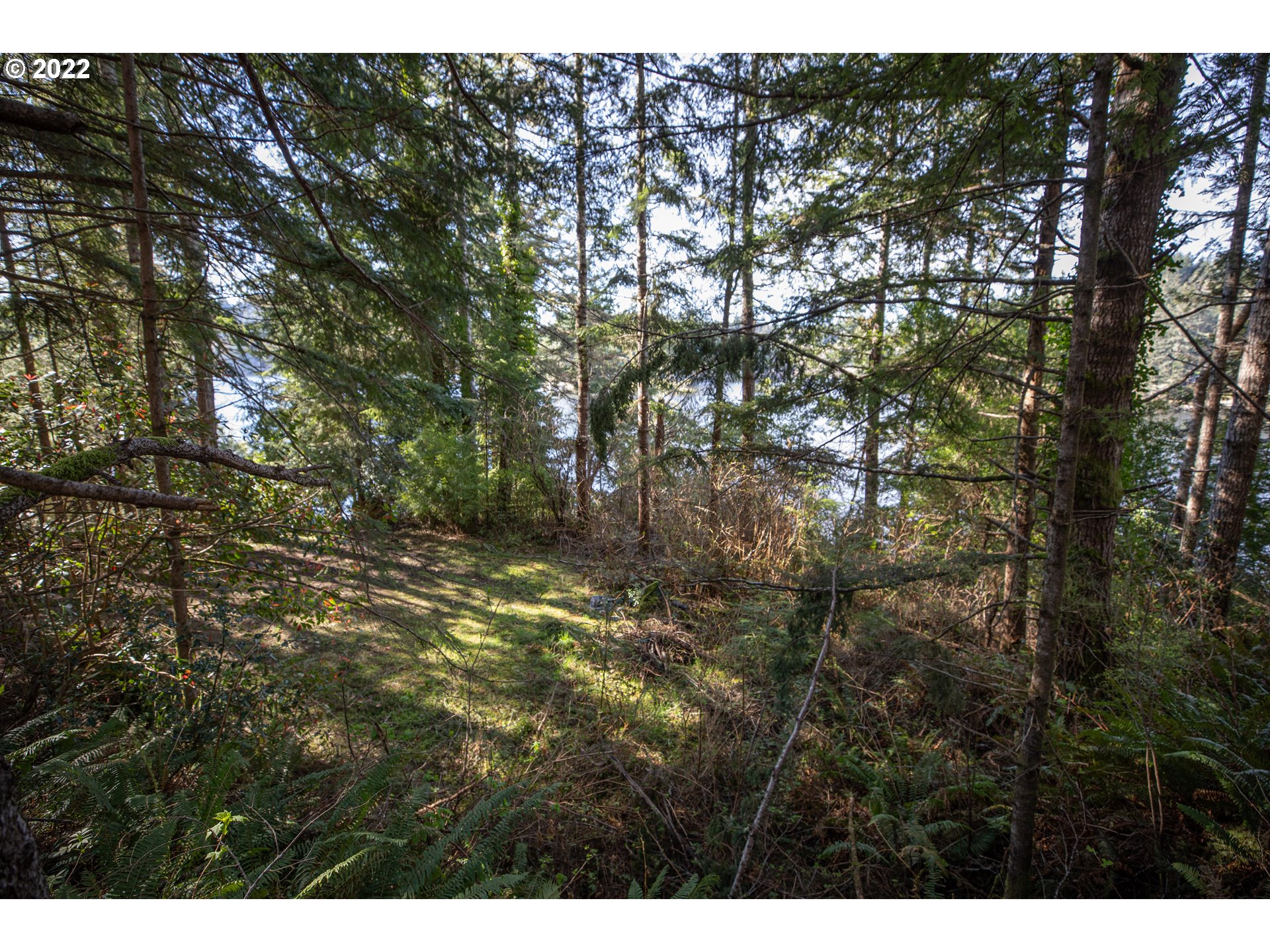 1 Sunny Cove Road, Unit 1301 Lakeside, OR 97449 - Photo 23 of 23 Gallery Image 23