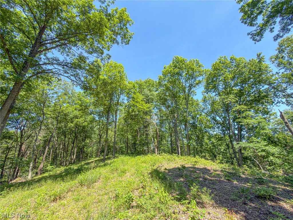 0 Twp Road Marietta, OH 45750 - Photo 42 of 50