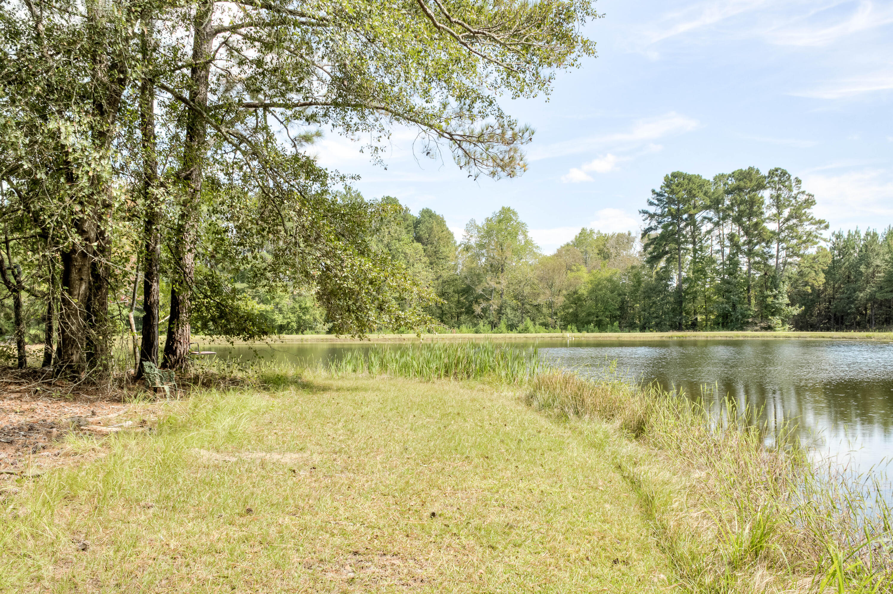 153 Rachel Road Ridge Spring, SC 29129 - Photo 27 of 57