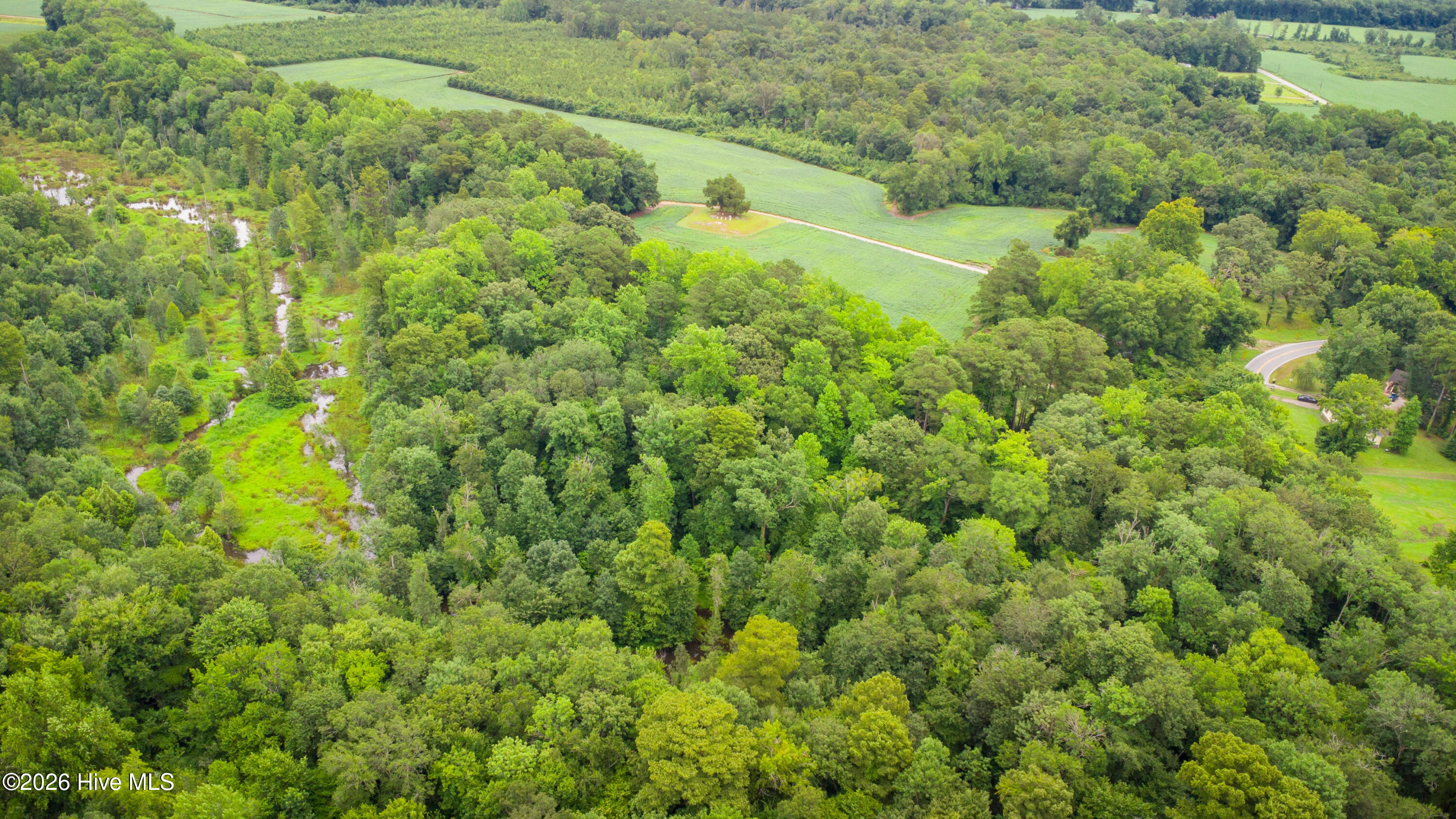 1601 Hill Neck Road Ernul, NC 28527 - Photo 7 of 33 Over 230 Acres of Opportunity