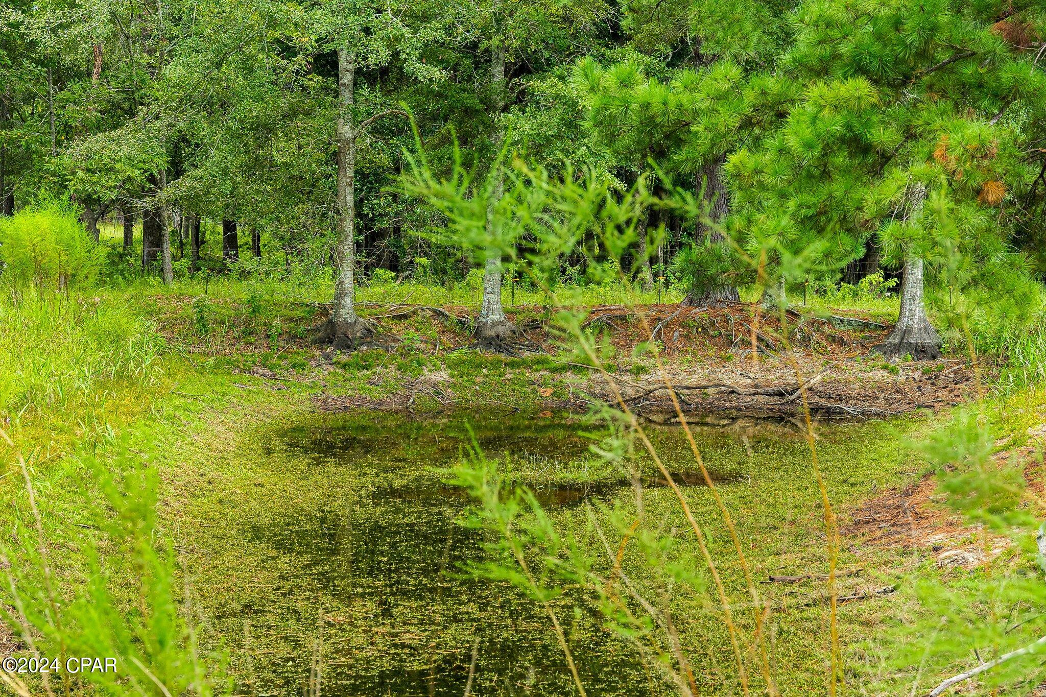 1432 Beaver Dam Road Bonifay, FL 32425 - Photo 85 of 104 Gallery Image 85