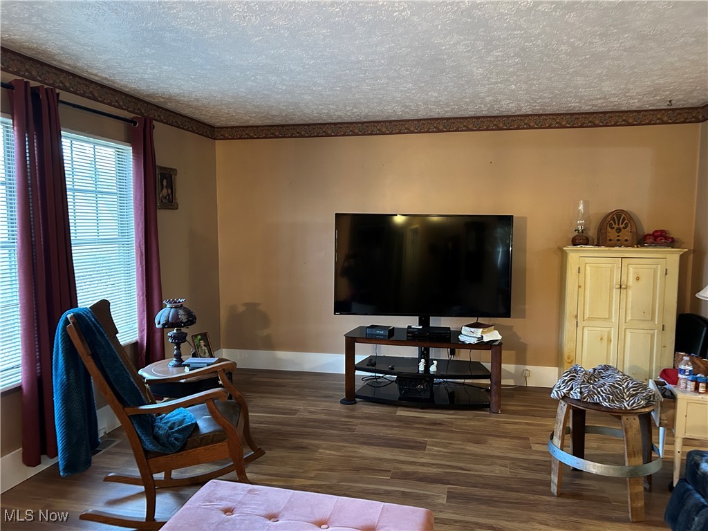 61634 Institute Road Lore City, OH 43755 - Photo 13 of 20 Living area with dark wood finished floors, a textured ceiling, and crown molding